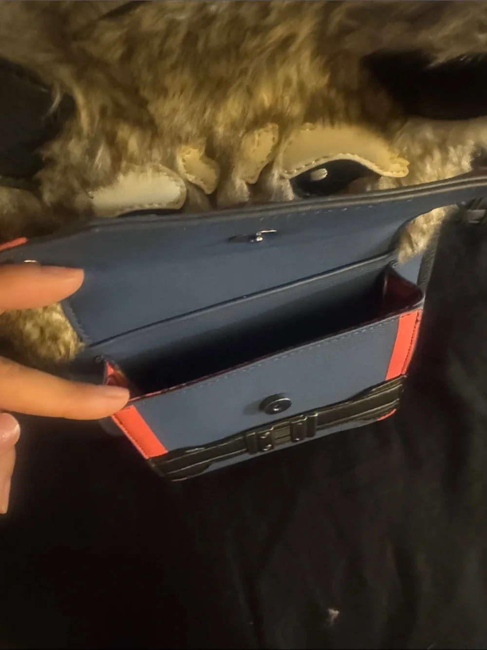 Loungefly raccoon themed